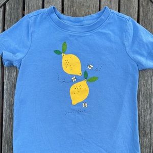 Hanna Andersson Toddler S/S T-Shirt 85/2T